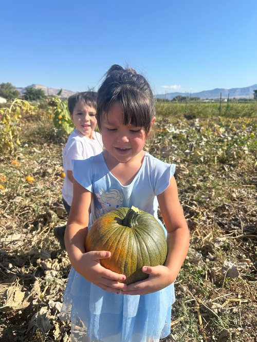 Pumpkin Pic