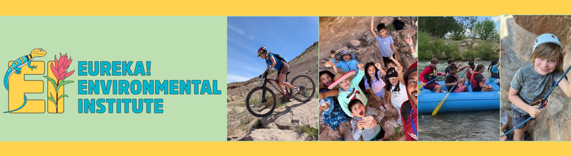 EI website banner (1).png