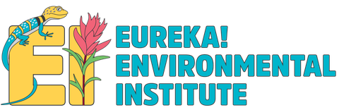 Environmental Institute identity blue (cropped).png