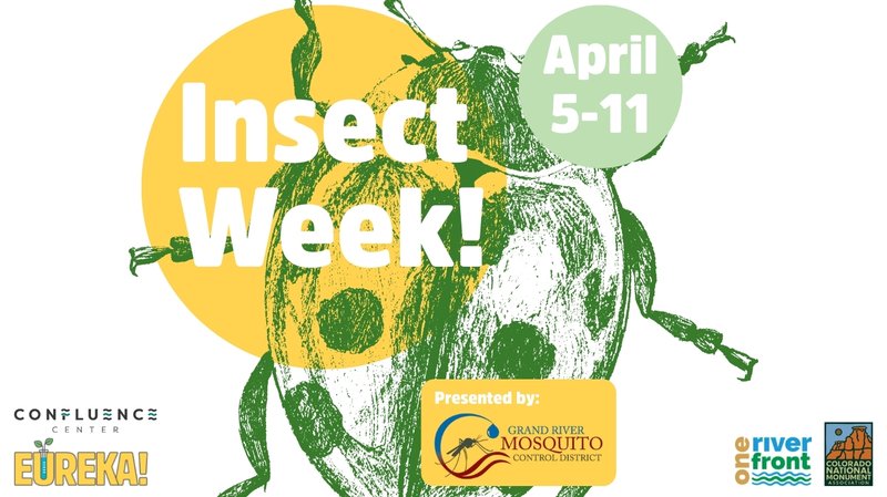 Insect Week Web Cover
