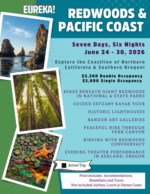 Redwoods Explorations 2026.png