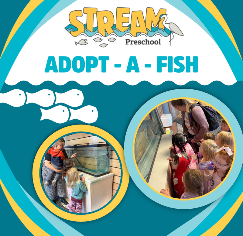 Website Adopt - a - fish