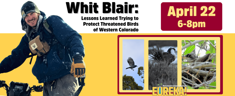 Website Banners Correct Size (6912 x 2850 px) (2)